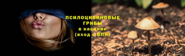 крисы Каменка