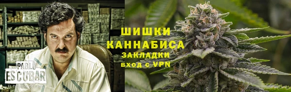 крисы Каменка